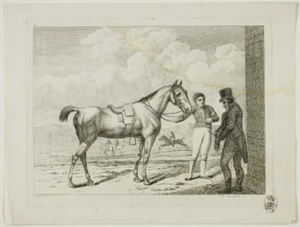 Escuela de equitación y caballos