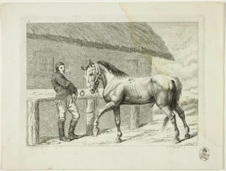 Escuela de equitación y caballos
