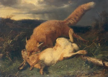 Zorro y liebre