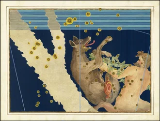 Johann Bayer, Lupus y Centaurus