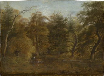 Paisaje forestal con estanque