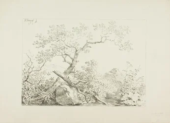 Árboles y rocas junto al agua