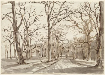 Un sendero en el bosque en Rosenthal en invierno
