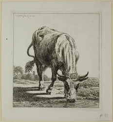 Vaca bebiendo, de Die Zweite Thierfolge