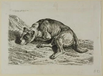 Perro acostado, de Die Zweite Thierfolge
