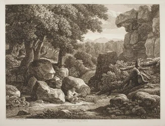 Paisaje forestal