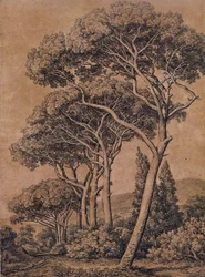 J C Reinhart Pinos paraguas 1791
