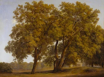 Árboles en los jardines de Villa Borghese