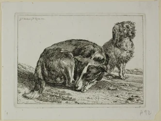 Dos perros descansando, de Die Zweite Thierfolge