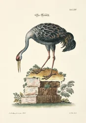 La grúa
