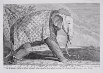 Un elefante