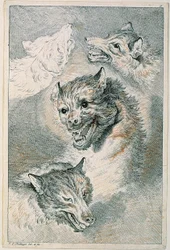Cuatro cabezas de lobo