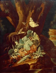 Insectos, caracoles y serpiente