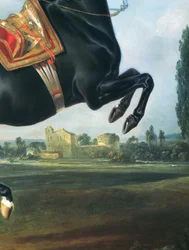 Un caballo negro realizando la Courbette (detalle)