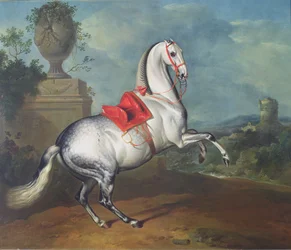 El gris moteado galopando