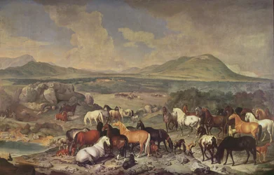 El Estudio Imperial con Caballos Lipizzanos