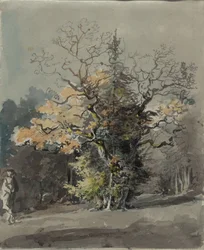 Grupo de árboles ante un bosque