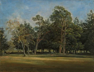 El Hirschgarten cerca de Múnich