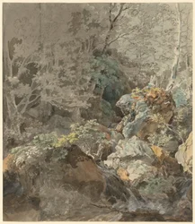 Cascadas en un bosque montañoso