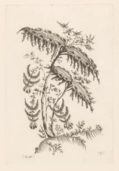 Hojas con forma de cuerno Fleures Baroque (título de la serie)