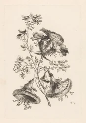 Flores Triangulares Fleures Baroque (título de la serie)