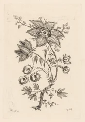 flores en forma de estrella Fleures Baroques (título de la serie)