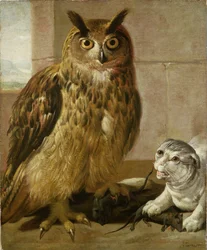 Búho real y gato con ratas muertas