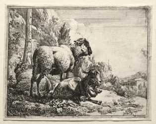 Cabra con campana, 1665