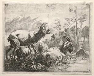 Cabras