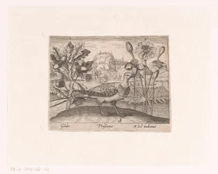Serie de Estampas con Flores y Animales en un Paisaje Paisaje con robles, faisanes y crisantemos Paisajes con animales, plantas y flores (título de serie)
