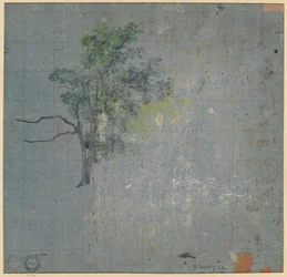 Tree Studies (verso)