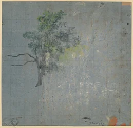 Estudios de árboles, primera mitad del siglo XIX