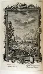 Grabado en cobre de "Physica Sacra" del erudito suizo Johann Jakob Scheuchzer
