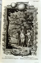 Grabado en cobre de "Physica Sacra" del erudito suizo Johann Jakob Scheuchzer