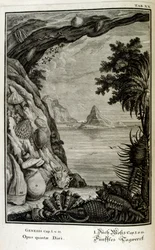 Grabado en cobre de "Physica Sacra" del erudito suizo Johann Jakob Scheuchzer