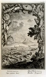 Grabado en cobre de "Physica Sacra" del erudito suizo Johann Jakob Scheuchzer