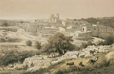 Betania