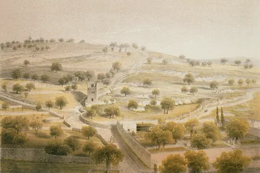 Getsemaní, Monte de los Olivos. Grabado por Bernatz et alii - Steinkopk J.F. Editore