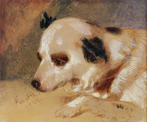 cabeza de perro