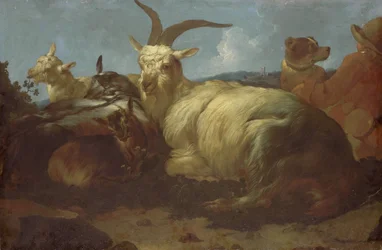 Un cabrero vigilando a sus animales