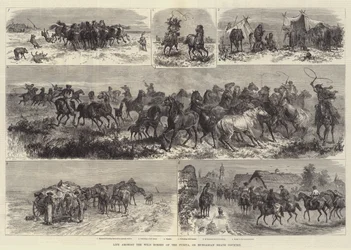 Vida entre los caballos salvajes de la Puszta, o la llanura húngara