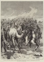 La guerra en Sudán, captura de trescientos camellos por el General de División Sartorius en un reconocimiento desde Souakim