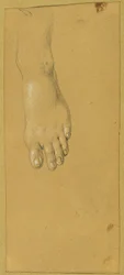 Estudio de pies para "Rüdiger y Angelika"