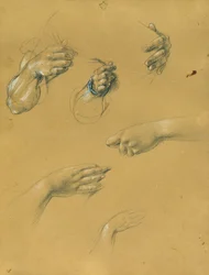 el estudio manual