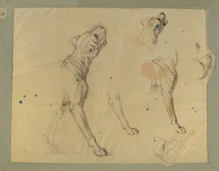 Estudio de perros para el "Regreso a casa del Landwehr Man" (1820)