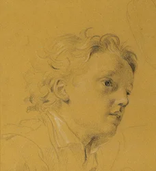 cabeza de un niño