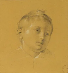 cabeza de un niño