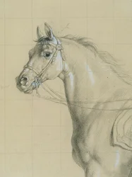 Estudio de caballos para "Archiduque Karl con su personal en la batalla de Aspern"