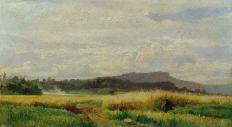 Campo de grano con anciana