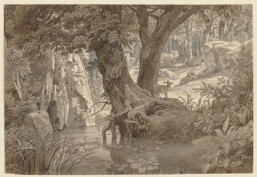 Paisaje forestal